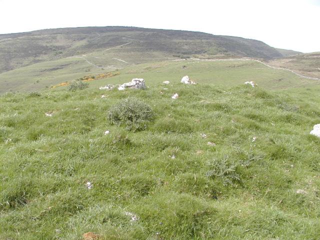 lgwac-001.jpg (66467 bytes)
