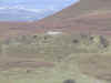 bgnc-009.jpg (204617 bytes)