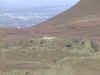 bgnc-010.jpg (189586 bytes)