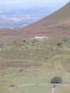 bgnc-012.jpg (199084 bytes)