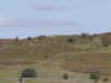 bgnc-013.jpg (160481 bytes)