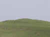 llabe-001.jpg (21276 bytes)