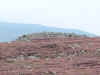 tnac-002.JPG (358284 bytes)