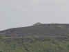 tshc-004.jpg (25636 bytes)