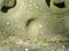 eglhccbp-06.JPG (724778 bytes)