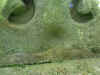 eglhccbp-11.JPG (680654 bytes)