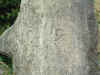 lwdccp-0.JPG (616229 bytes)