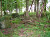 DSCF1284.JPG (482378 bytes)