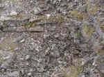 cklpts6-009.jpg (96838 bytes)