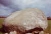 bhpt003.jpg (34266 bytes)