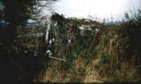 photo2.JPG (199684 bytes)