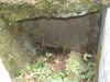 brnwts2p-011.jpg (83793 bytes)